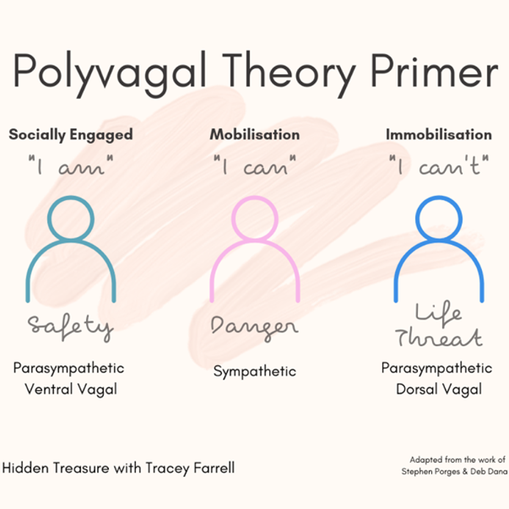 PolyVagal Theory:  According to Dr Stephen Porges’ polyvagal theory, the vagus n&#8230;