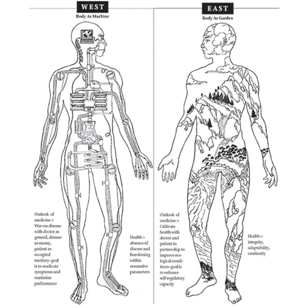 The Difference Between Western and Eastern Medicine